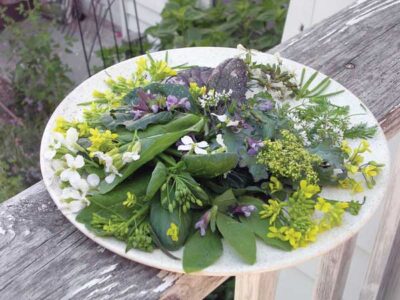 Gorgeous Garden Salad Image